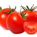 Tomato